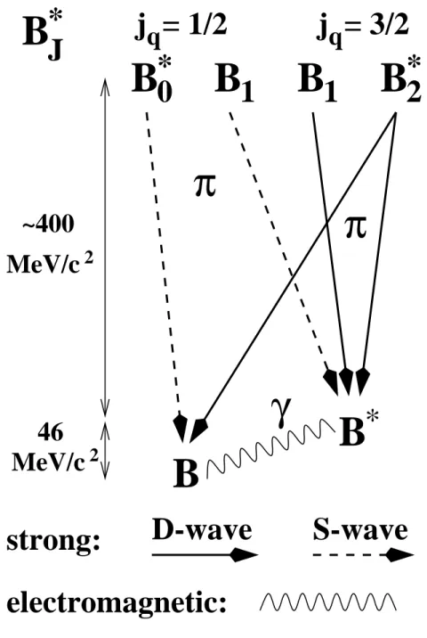 Figure 1: The four B ∗ J states and their dominant decays to the ground state doublet (B, B ∗ ).