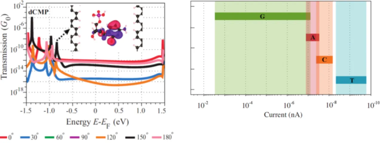 Figure 8: Left: Transmission function of the graphene nanogap system for different rotational states of cytosine