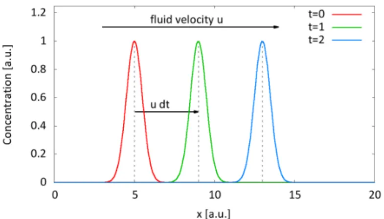 Figure 2: Advective behaviour of a gaussian distributed concentration. Due to the fluid velocity ~ u the concen- concen-tration moves in space [5]