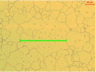 Abbildung 6.2: Großkorn mit Messbalken umgeben von kleinerem Korn. Der Messbal- Messbal-ken im Korn hat eine L¨ ange von 115 µm.
