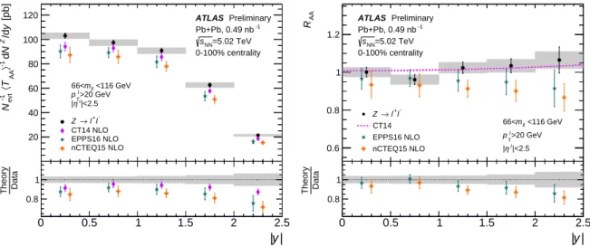 Figure 3: The upper panels show the rapidity dependence of the normalised Z boson yields (left) and of the R AA (right) compared with theoretical predictions