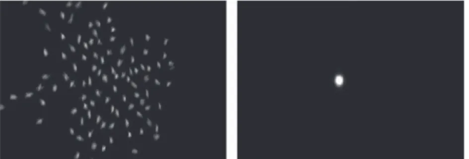 Fig. 3. Pictures showing the focussing of the mirror segments with a ∼1 km distant lamp