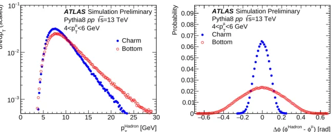Figure 13: Distributions of hadron p T (left) and ∆ φ between hadron and muon (right) for muons from charm (blue) and bottom (red) hadron decays with 4 &lt; p T &lt; 6 GeV from P ythia 8 events at 13 TeV