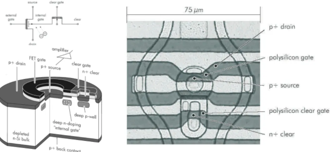 Figure 1. Cutaway (left) and microscope photography of a DEPMOSFET pixel. (right). The pixel consists of a p-channel MOSFET with attached clear region, which can be considered as an additional ’parasitic’ n-channel MOSFET contacting the internal gate