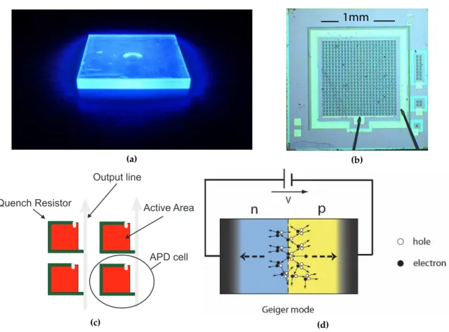 Figure 4.2.: Illustration of the working principle of an event generation: (a) UV illuminated scintillating tile made of POPOP doped polystyrene