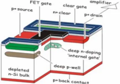 Fig. 2.   Module concept for the first layer of the vertex detector at  the ILC. 