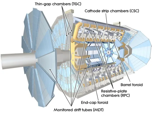Figure 3.6: The ATLAS Muon Spectrometer with eight barrel toroid coils and two endcap toroid magnets in separate cryostats
