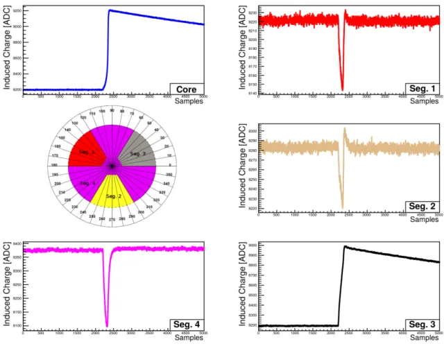 Figure 5.3.: Pulses for all the segments of an event in segment 3. Distinct mirror pulses are observed for all non-collecting segments.