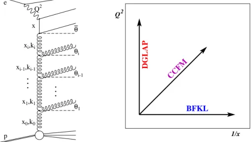Figure 1.3: Left: gluon emissions in parton evolution, the so called gluon ladder. Right: a schematic overview of the diﬀerences in the DGLAP, BFKL and CCFM evolution schemes
