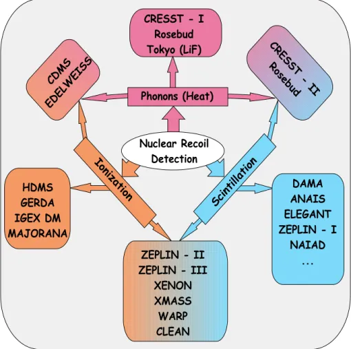 Fig. 2.1: Detection techniques employed in the most prominent direct DM experiments. Figure taken from [31].