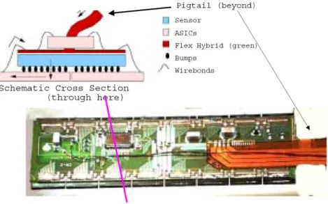 Figure 1.10: Pixel module geometry. The cross-section of a module illustrates the attach- attach-ment of the readout electronics on both sides of the sensor