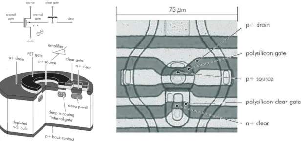 Figure 1. Cutaway view and microscope photography of a circular DEPMOSFET pixel. A pixel is made up of a circular p-channel MOSFET with attached clear region