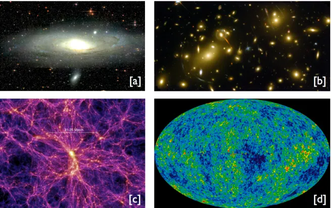 Abbildung 2: Hinweise auf die Existenz der Dunklen Materie im Universum. (a) Die Spiralga- Spiralga-laxie M 31 (Andromeda GaSpiralga-laxie) hat ein Rotationsverhalten, das auf die Existenz der Dunklen Materie hindeutet