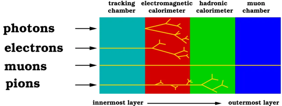 Figure 1.2: Schematic view of interactions of dierent particles in modern high energy general purpose particle detectors (following an illustration from Ref