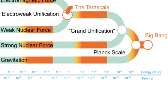 Fig. 2.12: Unification of all four forces in a Grand Unification Theory [52].