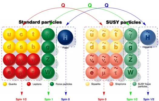 Figure 3.3: Particle content of the MSSM: every standard model particle (left) gets a superparter (right)