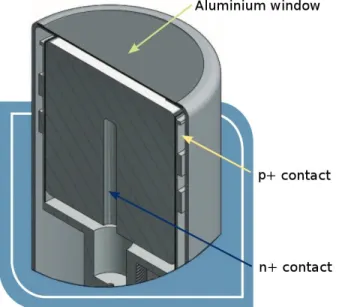 Figure 2 shows a schematic of the detector. This design features a thin window allowing for a low measuring threshold [3].