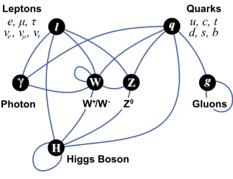 Figure 2.4: All possible couplings of fermions and bosons in the standard model