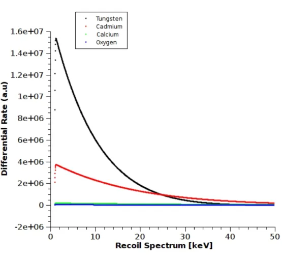 Figure 3.5: Recoil spectrum of the constituent nuclei of calcium and cadmium tungstate for a 100 GeV WIMP