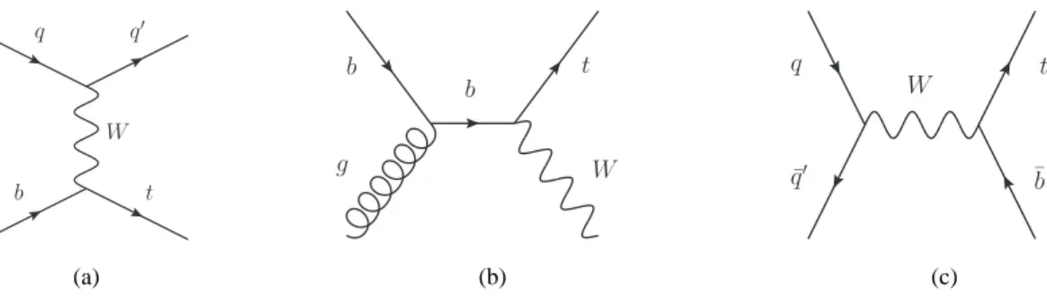 Figure 1: Feynman diagrams of single top quark production processes: (a) t-channel production, (b) associated Wt production, and (c) s-channel production.