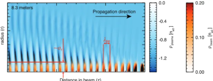 Figure 2: Longitudinal section of the self-modulated p + bunch resonantly driving plasma wakefields sustained by the plasma density perturbation