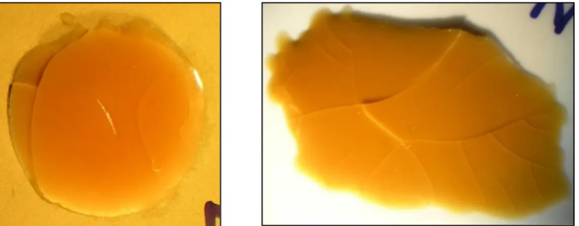 Fig. 10: Optical image of H70E applied to gold substrate and ceramic plate to  demonstrate cohesive and adhesive failure respectively