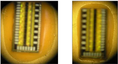 Fig. 24: Die sample with H70E with thick and thin fillets respectively. 
