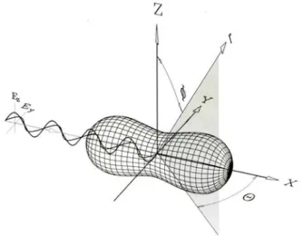 Abb. 4 Abstrahlungs- bzw. Streucharakteristik (Orte gleicher Intensität) der Rayleigh-Streu- Rayleigh-Streu-strahlung kleiner Teilchen bei EinRayleigh-Streu-strahlung monochromatischen, unpolarisierten Lichts