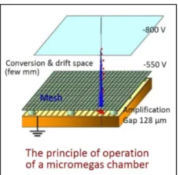 Figure 5. Layout and operating principle of a micromega detector (schematic).