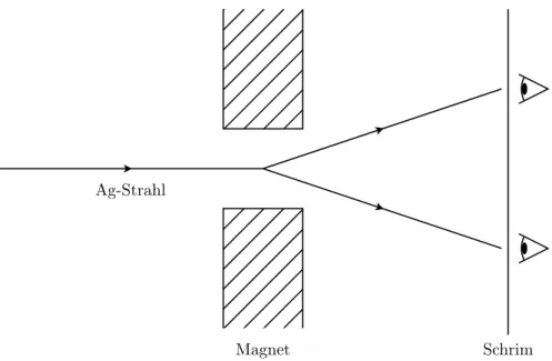 Abbildung II.1.: Versuchsanordnung des Stern-Gerlach-Experimentes: Ein Silberstrahl durchmisst ein inhomogenes Magnetfeld