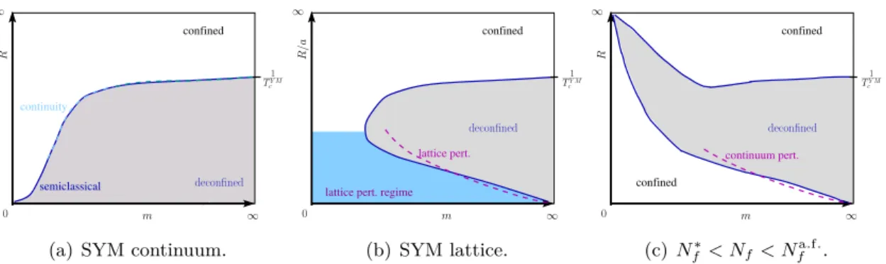 Figure 2. A sketch of the expected phase diagrams in N f QCD(adj). Figure (a) is the continuum case in SYM with the semiclassical predictions valid on the small (R, m) corner, the well established numerical results at large-m (where semi-classic does not a