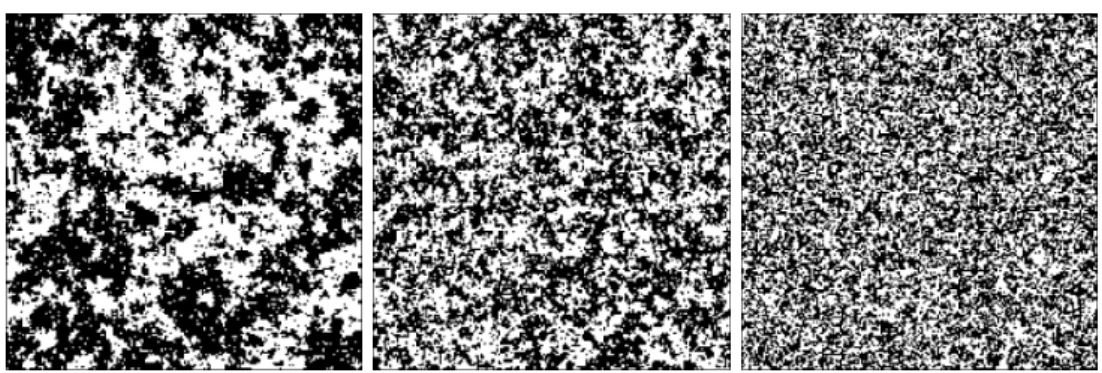Abbildung 5: Konfigurationen nach 500 Simulationsschritten für ein Gitter der Größe 200 × 200 bei T = 2,4 J/k, 3,0 J/k und 5,0 J/k.