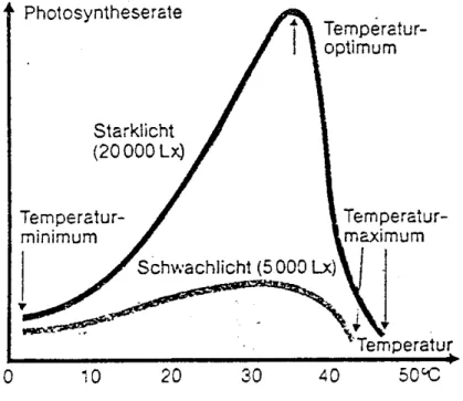 Abb. 2: Einfluss der Temperatur auf die Photo- Photo-syntheserate