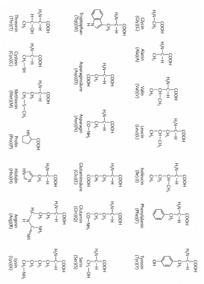 Fig. 1: Proteinogene Aminosäuren 