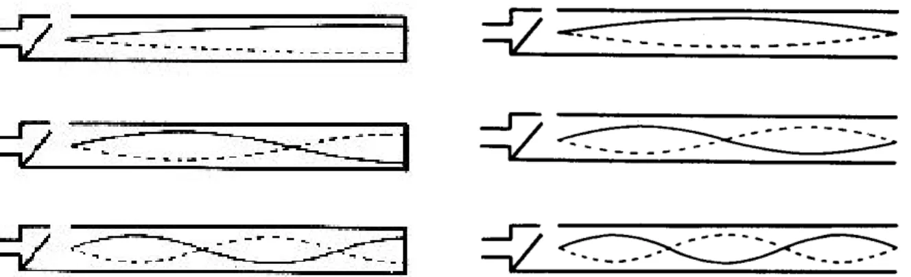 Abbildung  3: Die Grundschwingung (hier Druckverhältnisse) und die ersten beiden Oberschwingungen einer geschlossenen (&#34;gedackten&#34;) Orgelpfeife (links) und einer offenen Orgelpfeife (rechts) (Sears 1965, 467)