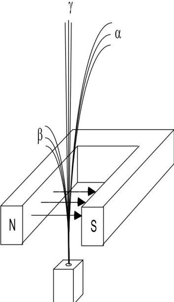 Abbildung 2.1: Ablenkung der α-, β - und γ -Strahlen im Magnetfeld.