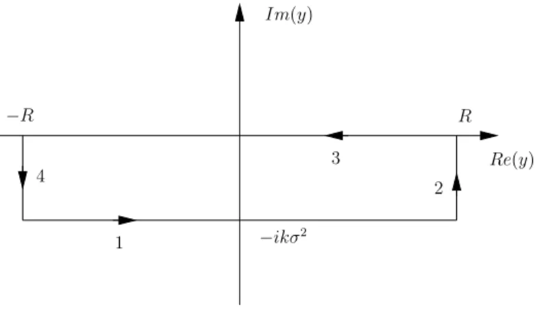 Abbildung 1: Integrationsweg in der komplexen y-Ebene.