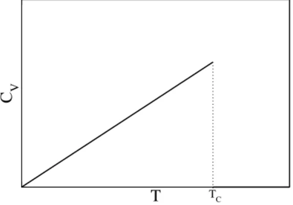 Abbildung 3 stellt die W¨armekapazit¨at als Funktion der Temperatur dar. Da m = 0 f¨ur T &gt; T C , verschwindet dort auch die W¨armekapazit¨at