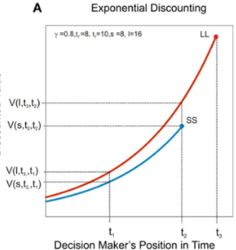 Abbildung  2:  Exponentielles Abzinsungsmodell  mit stabilen Präferenzen (Story, et al., 2014)