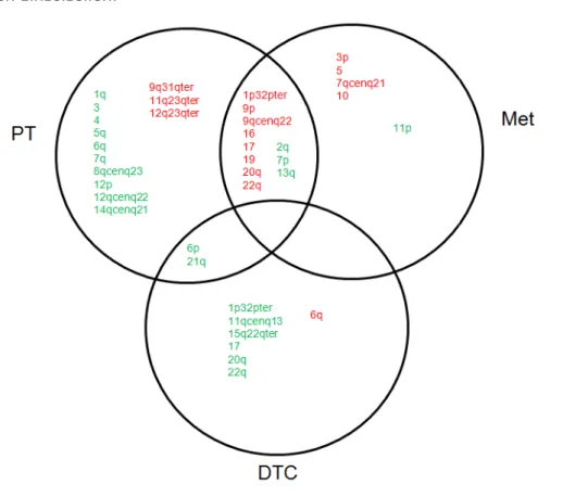 Abbildung 17:   Schnittmengen von Chromosomenregionen zwischen PT, DTC und Met Alle Chromosomenregionen die i