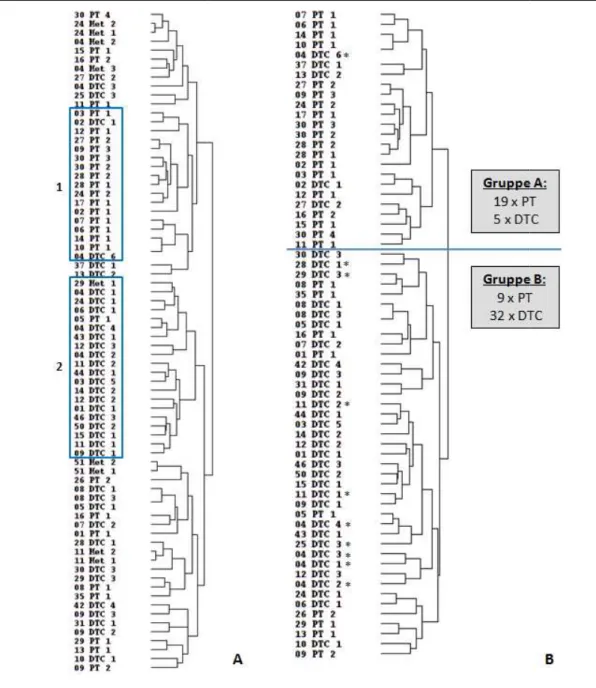 Abbildung 21:  Dendrogramme der Clusteranylse A:  Dendrogramm  des  gesamten  CGH