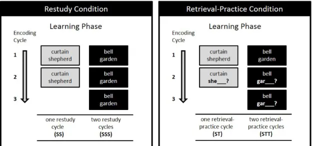 Figure 8: Illustration of the two types of practice employed in Experiment 3 : In the restudy condition, after the initial study cycle, paired associates were learned in one or two restudy cycles