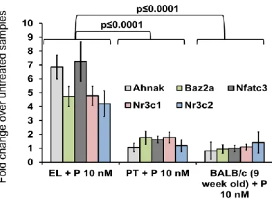Figure 18. Hormone treatment of primary cultures from different tissues and qPCR evaluation of EL-signature