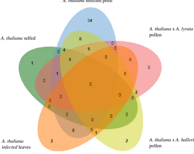 Figure 15:Distribution of differential expressed DEFL genes in A. thaliana during  pollination and infection with Fusarium graminearum 