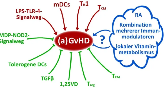 Abbildung 1-11: Modulation der GvHD 