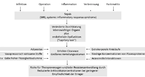 Abb. 1: Pathophysiologische Besonderheiten und pharmakokinetische Folgen bei Intensivpatienten (nach  [9])