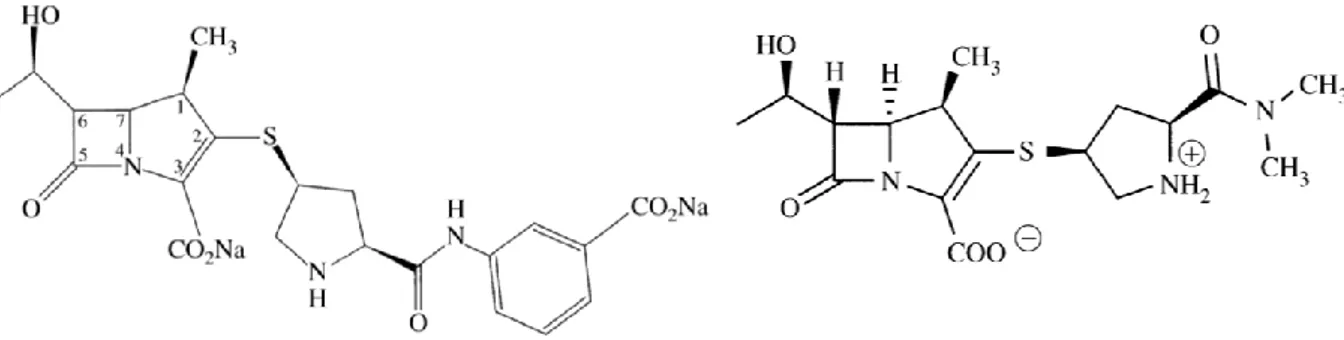 Abb. 4: Chemische Strukturen von Ertapenem (links) und Meropenem (rechts) [34,35] 