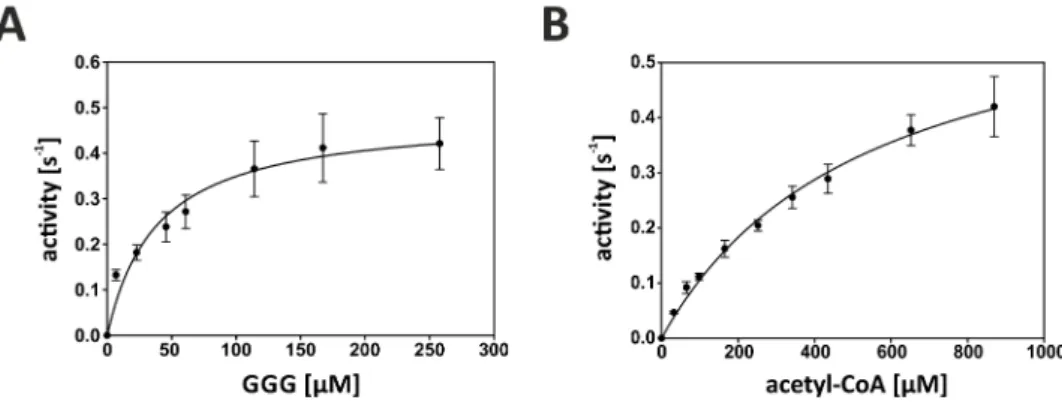 Figure 27 – Steady-state kinetic measurements of acetyltransferase activity of bsYvoF 