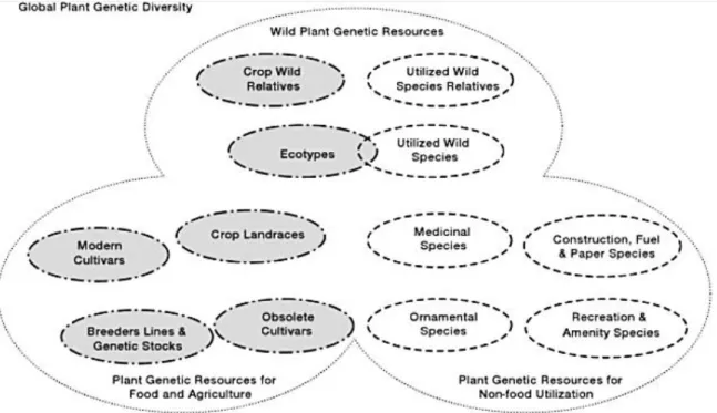 Fig.  1:  Plant  genetic  resources  comprise  a  wide  range  of  global  plant  diversity,  from  Maxted  (2008)