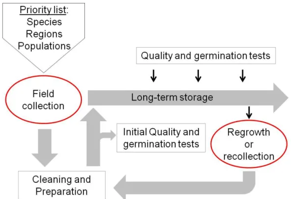 Fig. 3: Overview over important steps in genebank management. Red circled steps are objectives  of the thesis at hand